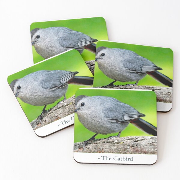 Item preview, Gray Catbird, Mockingbird Family Member, Animal Portrait designed and sold by AMacGPhilly.