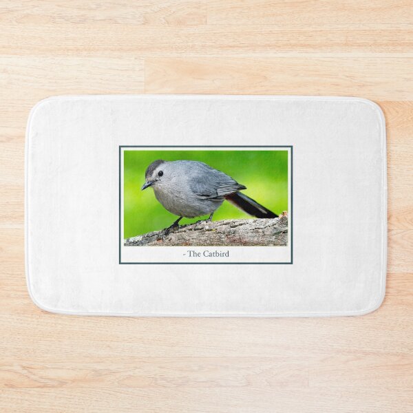 Item preview, Gray Catbird, Mockingbird Family Member, Animal Portrait designed and sold by AMacGPhilly.
