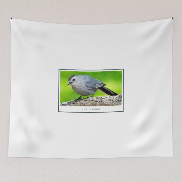 Item preview, Gray Catbird, Mockingbird Family Member, Animal Portrait designed and sold by AMacGPhilly.