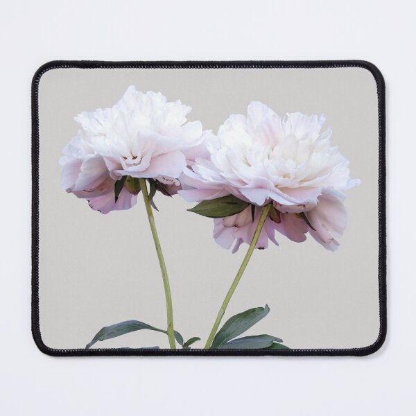 Item preview, Two white peonies blooming designed and sold by KRFNatureGifts.