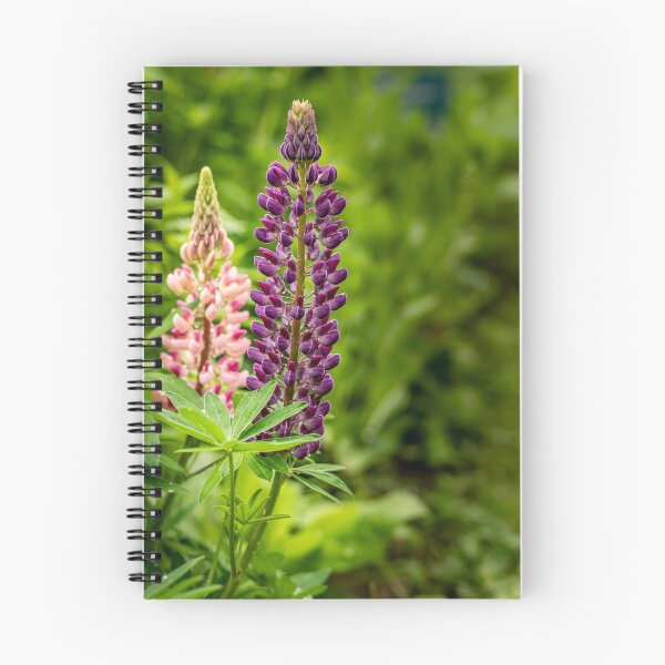 Item preview, Purple and Pink — Lupin Flowers in the Garden designed and sold by Rabee Khalil Photography.