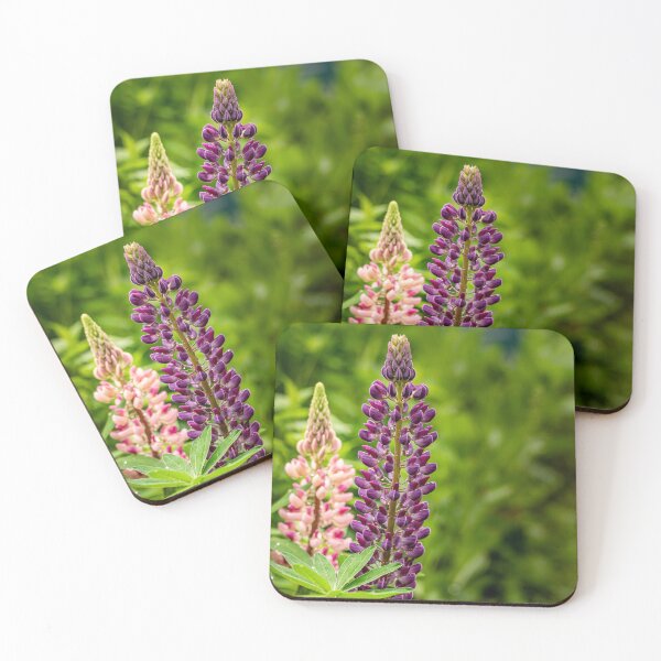 Item preview, Purple and Pink — Lupin Flowers in the Garden designed and sold by Rabee Khalil Photography.