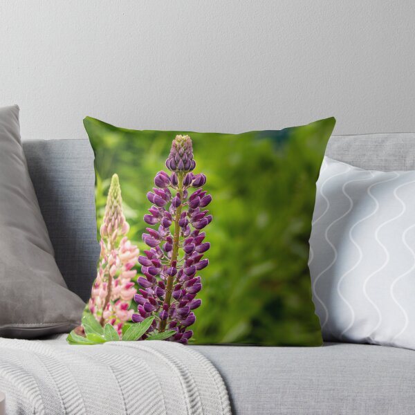 Item preview, Purple and Pink — Lupin Flowers in the Garden designed and sold by Rabee Khalil Photography.