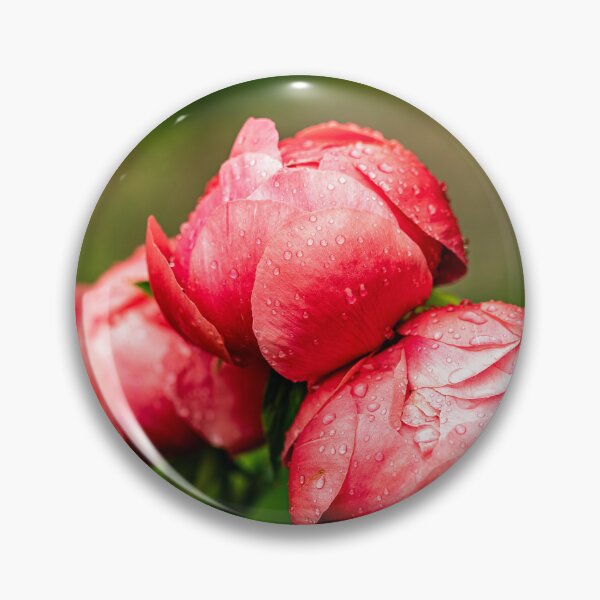 Item preview, After the Rain — Red Peony Buds in the Garden designed and sold by Rabee Khalil Photography.