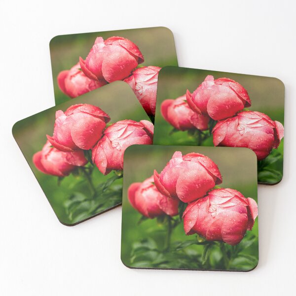 Item preview, After the Rain — Red Peony Buds in the Garden designed and sold by Rabee Khalil Photography.