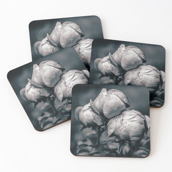 Item preview, After the Rain — Peony Buds in Black and White designed and sold by Rabee Khalil Photography.