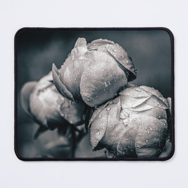 Item preview, After the Rain — Peony Buds in Black and White designed and sold by Rabee Khalil Photography.