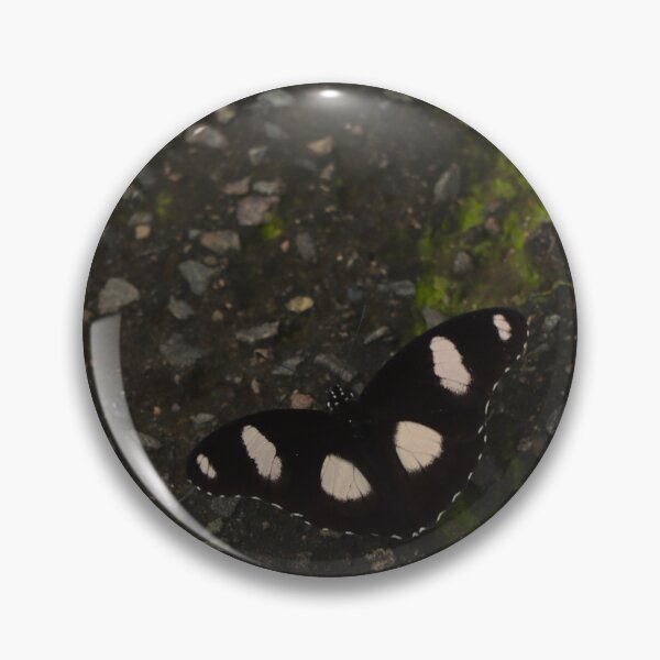 Item preview, Danaid Eggfly designed and sold by Buttr. Prints.