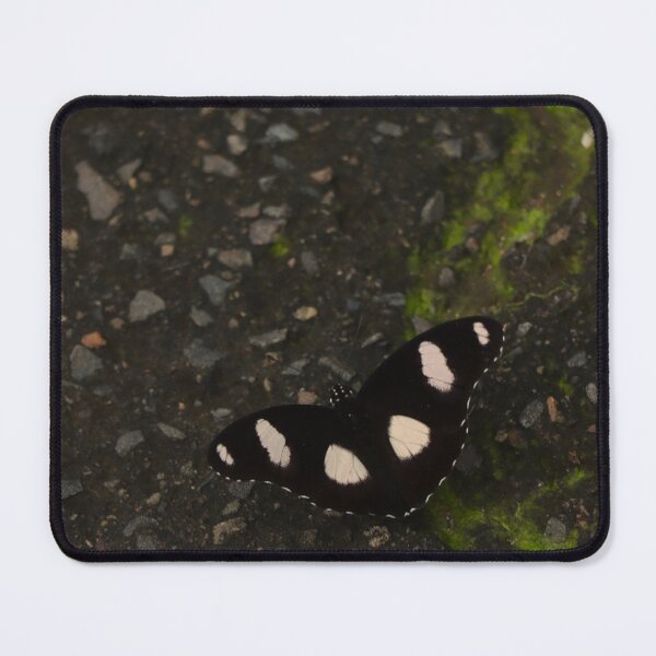 Item preview, Danaid Eggfly designed and sold by Buttr. Prints.