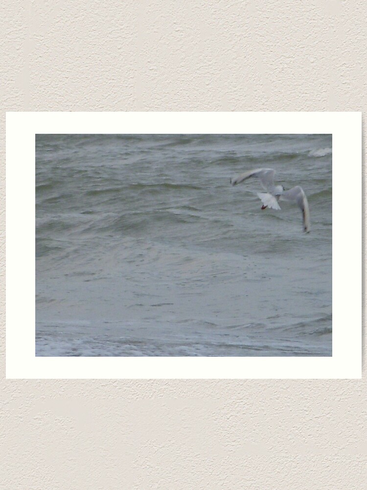 Thumbnail 1 of 3, Art Print, W designed and sold by Anthropolog.