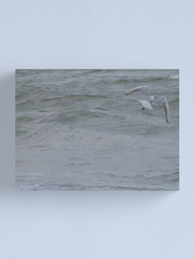 Thumbnail 1 of 3, Canvas Print, W designed and sold by Anthropolog.