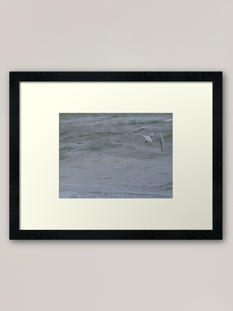 Thumbnail 1 of 7, Framed Art Print, W designed and sold by Anthropolog.