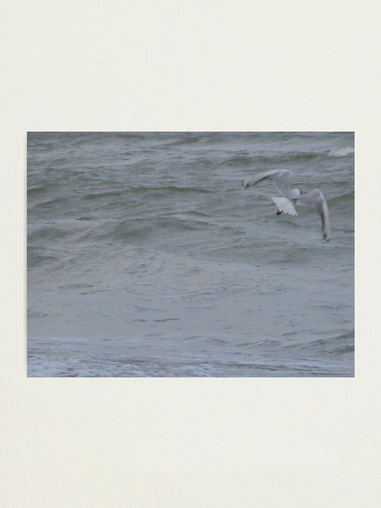 Thumbnail 1 of 3, Photographic Print, W designed and sold by Anthropolog.