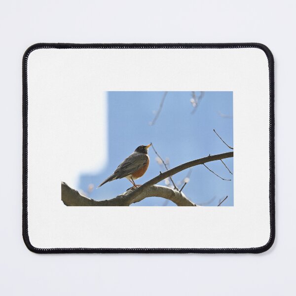 Item preview, Robbin perched in a tree designed and sold by JaysUrbanLense.