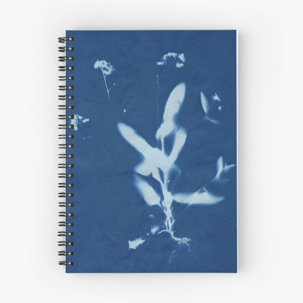Item preview, Dry Cyanotype Forget-Me-Not Plant designed and sold by LymphomaLass.