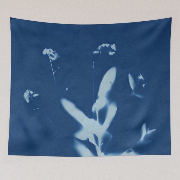 Item preview, Dry Cyanotype Forget-Me-Not Plant designed and sold by LymphomaLass.
