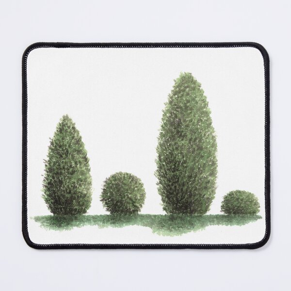 Item preview, January 11th birthday flower Arborvitae designed and sold by birthflower.