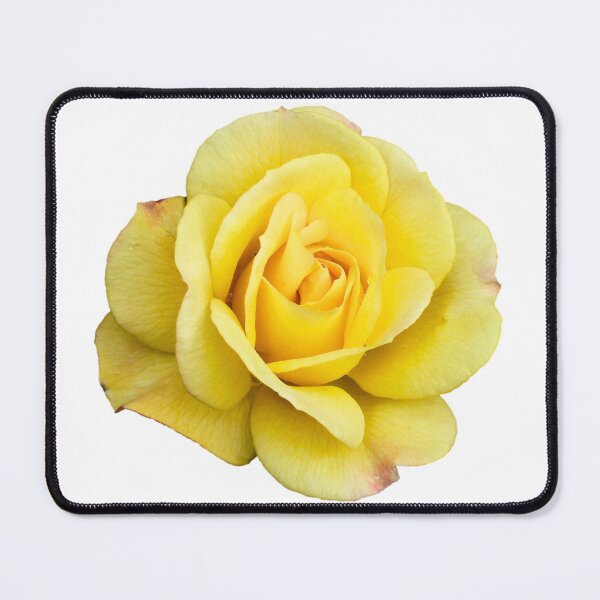Item preview, Rose designed and sold by di-Vera-Rosati.
