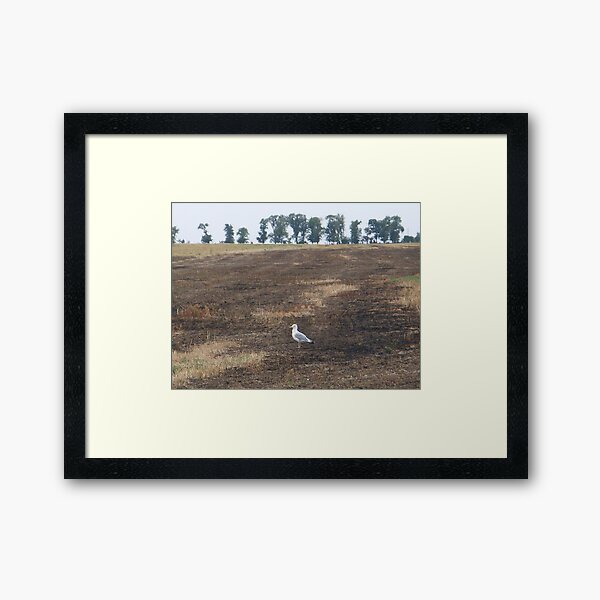 Framed Art Print