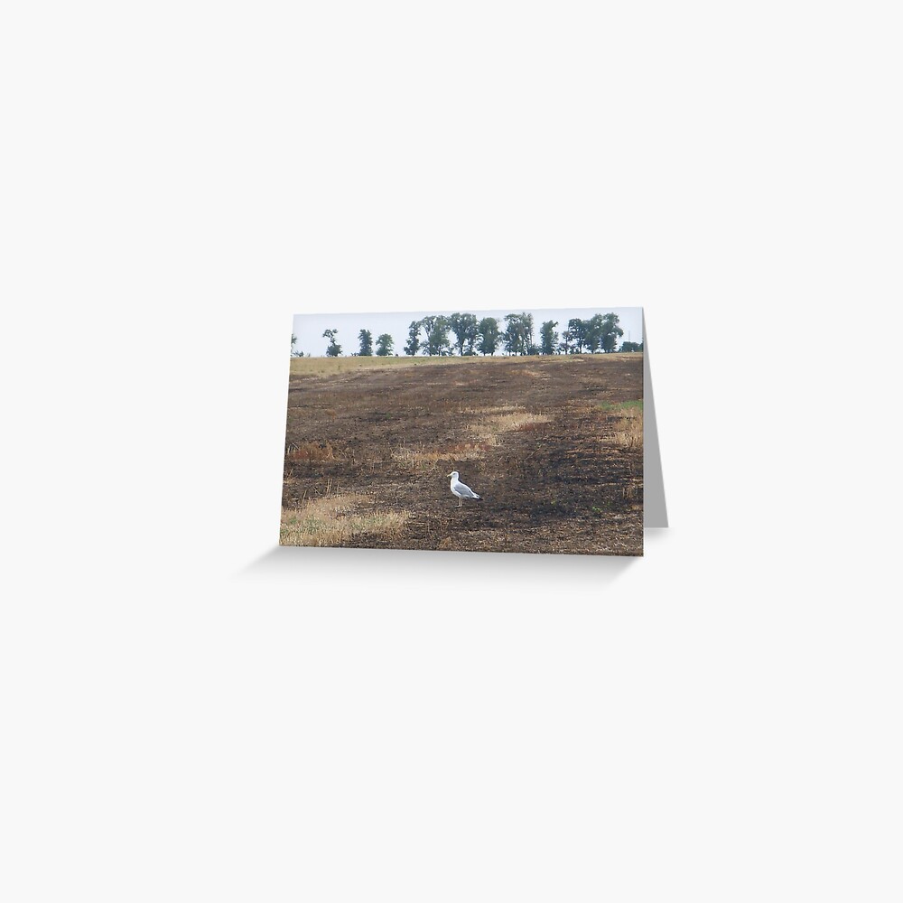 Item preview, Greeting Card designed and sold by Anthropolog.