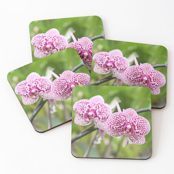 Item preview, Spotted pink and white Phalaenopsis Orchid designed and sold by MKlens.