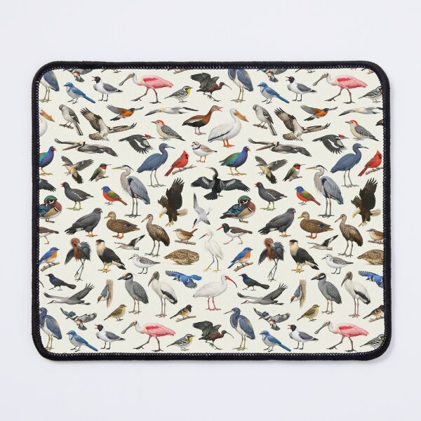 Item preview, Native Birds of Florida Ornithology Identification Chart designed and sold by kakarikihill.