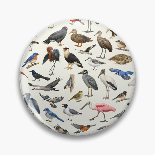 Item preview, Native Birds of Florida Ornithology Identification Chart designed and sold by kakarikihill.