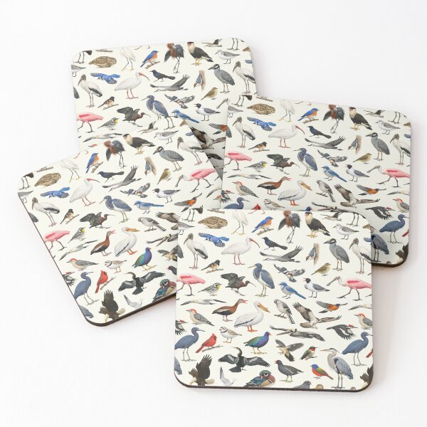 Item preview, Native Birds of Florida Ornithology Identification Chart designed and sold by kakarikihill.