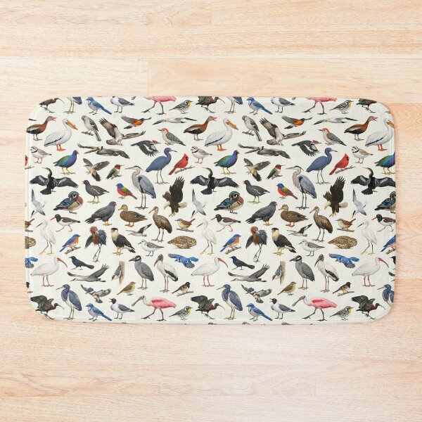 Item preview, Native Birds of Florida Ornithology Identification Chart designed and sold by kakarikihill.