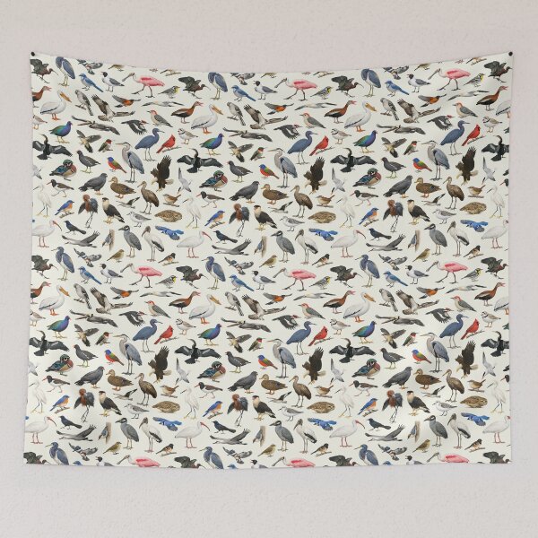 Item preview, Native Birds of Florida Ornithology Identification Chart designed and sold by kakarikihill.