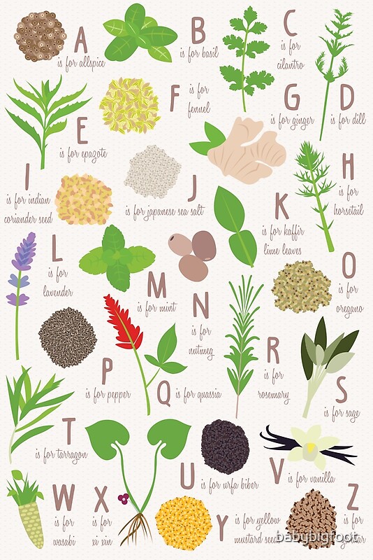 "Herbs and Spices Alphabet" by babybigfoot Redbubble