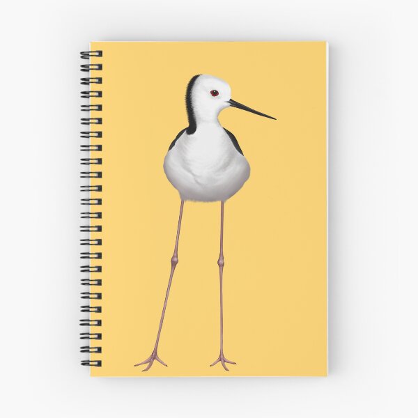 Item preview, Pied stilt at Lake Indoon designed and sold by Windswell.