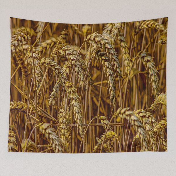Item preview, fwc 0726 wheat designed and sold by fred chiea.