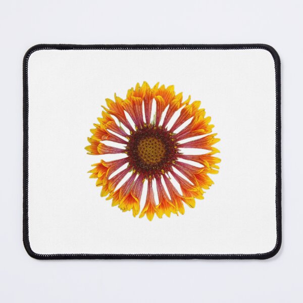 Item preview, African Daisy designed and sold by MCCLSHOP.