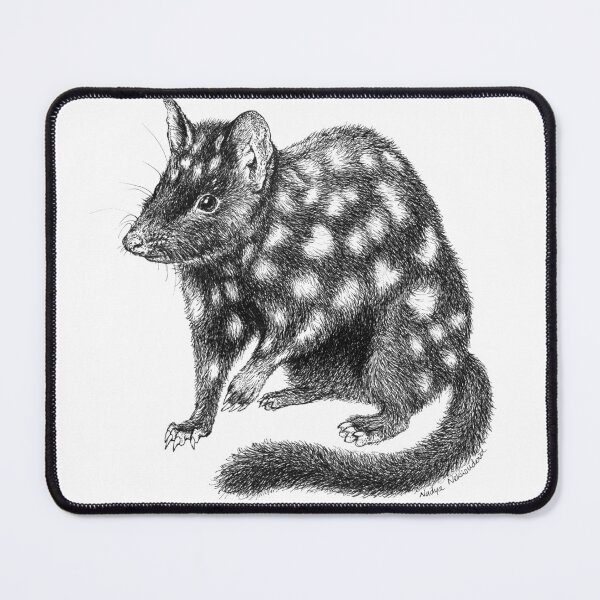 Item preview, Eastern Quoll - pen & ink Australian wildlife illustration on WHITE background designed and sold by Nadya Neklioudova.