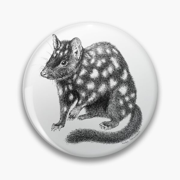 Item preview, Eastern Quoll - pen & ink Australian wildlife illustration on WHITE background designed and sold by Nadya Neklioudova.