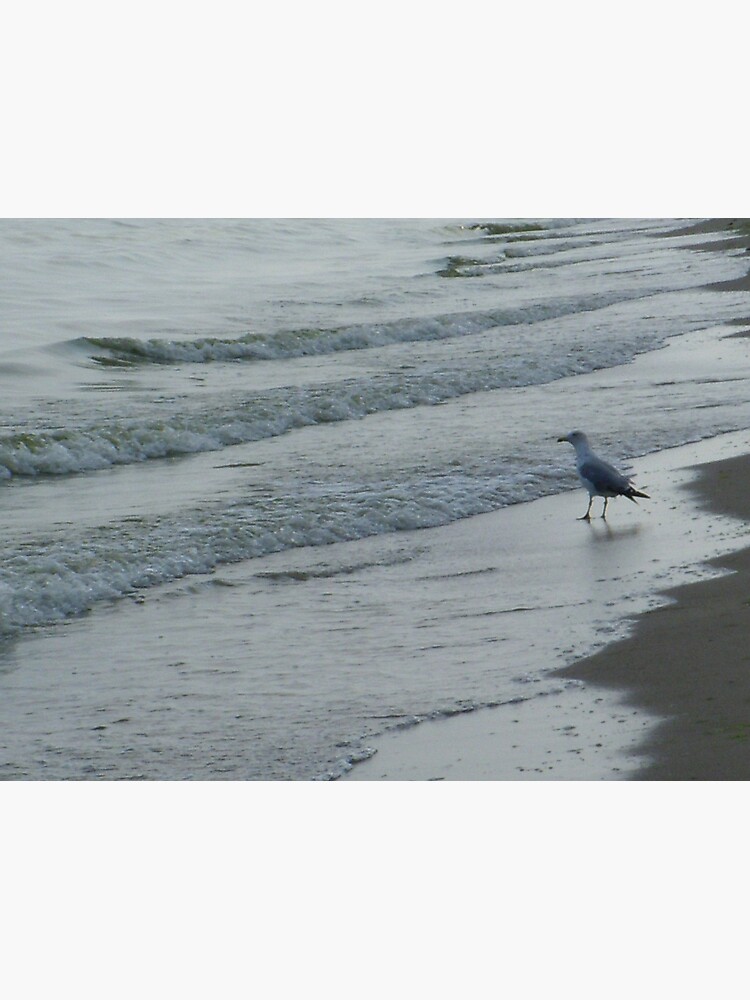 On the stairs of the sea waiting for the tide by Anthropolog