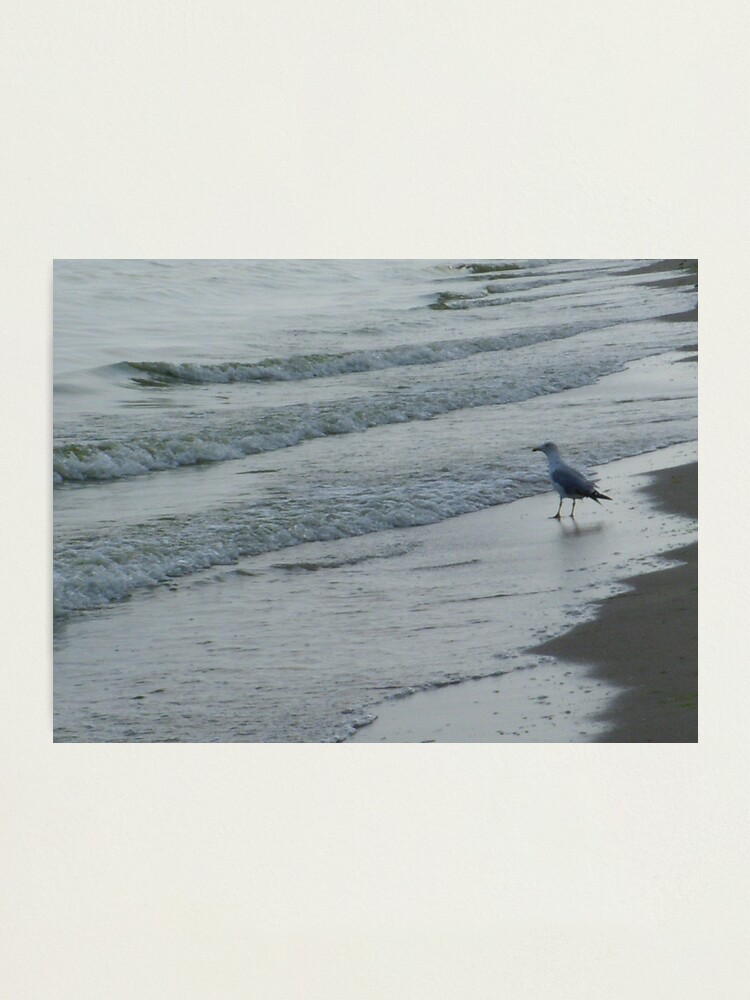 Alternate view of On the stairs of the sea waiting for the tide Photographic Print