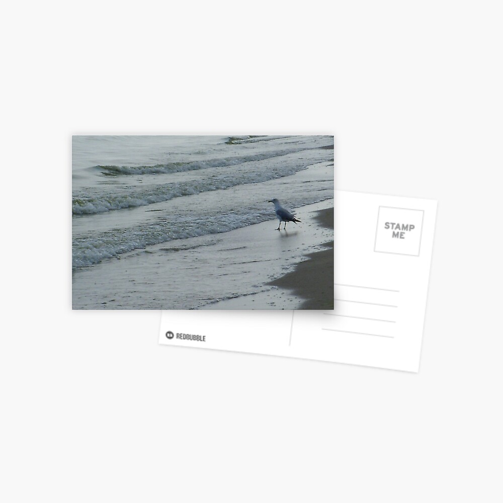 Item preview, Postcard designed and sold by Anthropolog.