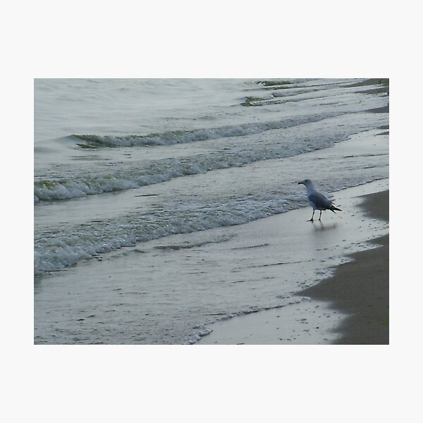 Photographic Print