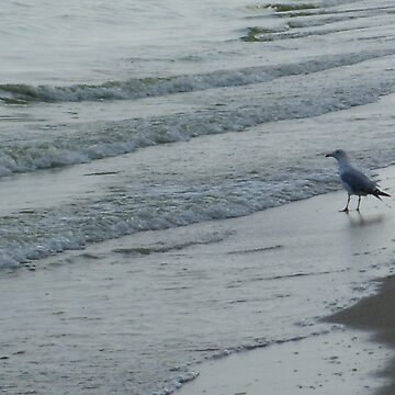 Artwork thumbnail, On the stairs of the sea waiting for the tide by Anthropolog