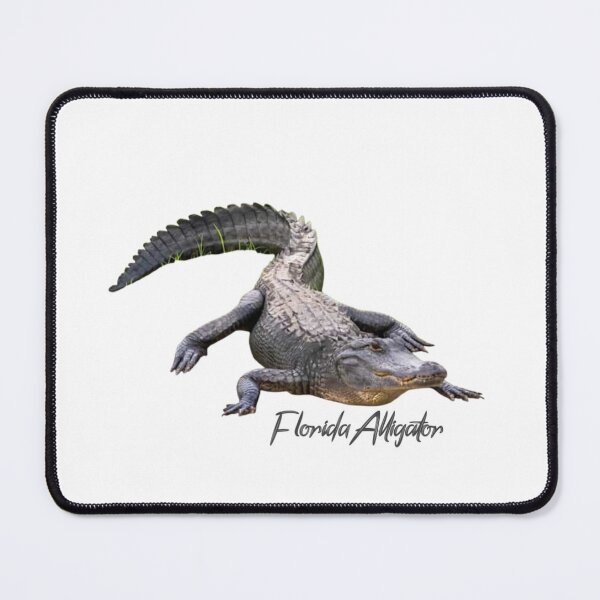 Item preview, Florida Aligator designed and sold by AbstractAsylum.