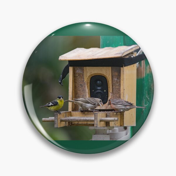 Item preview, Two Finches and a Goldfinch Visiting the Camera Feeder designed and sold by CarolM.