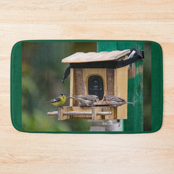 Item preview, Two Finches and a Goldfinch Visiting the Camera Feeder designed and sold by CarolM.