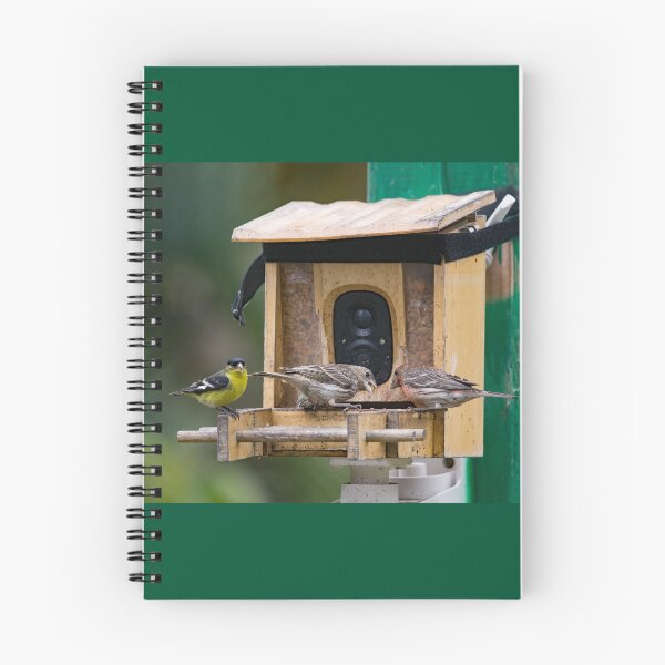 Item preview, Two Finches and a Goldfinch Visiting the Camera Feeder designed and sold by CarolM.