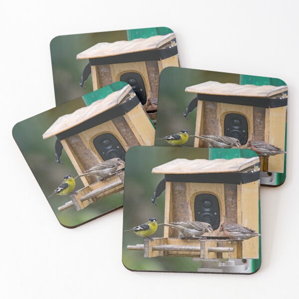 Item preview, Two Finches and a Goldfinch Visiting the Camera Feeder designed and sold by CarolM.