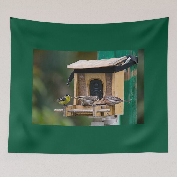 Item preview, Two Finches and a Goldfinch Visiting the Camera Feeder designed and sold by CarolM.