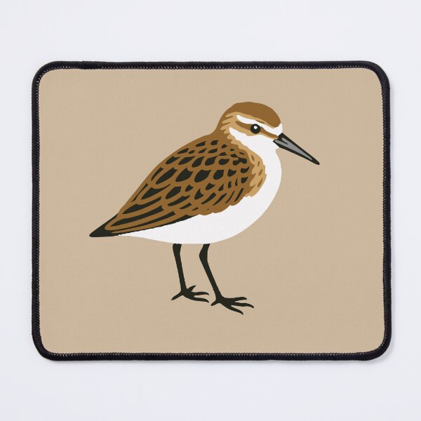 Item preview, Least Sandpiper Coastal Bird Illustration designed and sold by donwillisjrart.