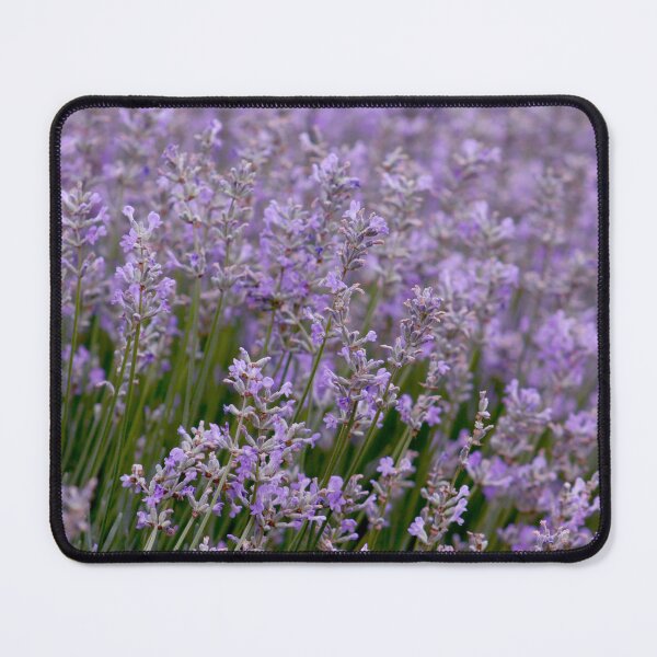 Item preview, Purple Infinity - Endless Lavender Fields & Provence Dreamscape designed and sold by K Design Store.