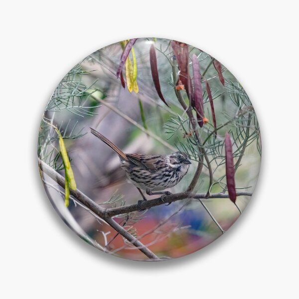 Item preview, Song Sparrow in Tree with Colorful Seed Pods designed and sold by CarolM.